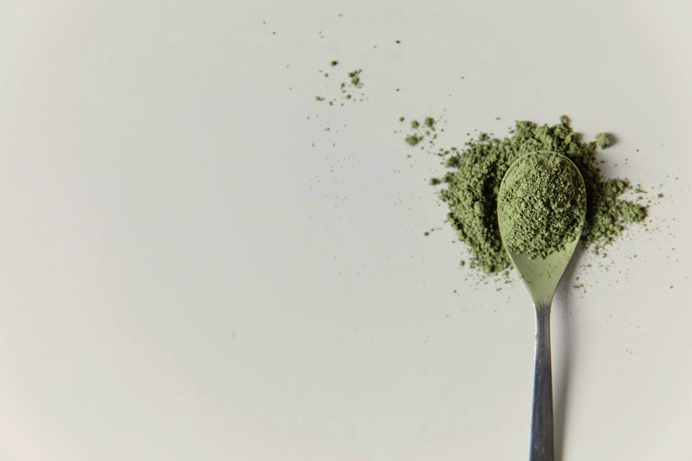 Spoon of organic moringa powder on light surface with soft natural lighting