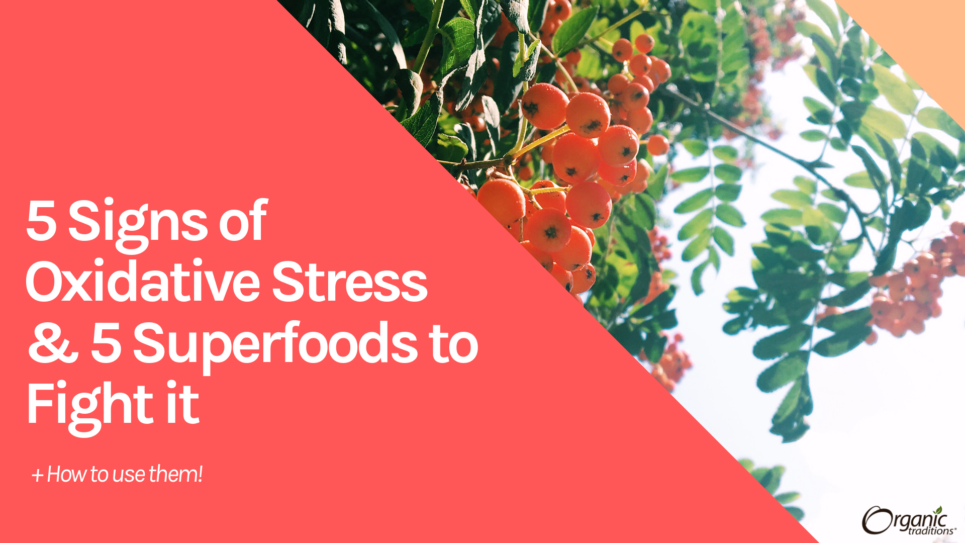 oxidative stress symptoms and most powerful antioxidants list