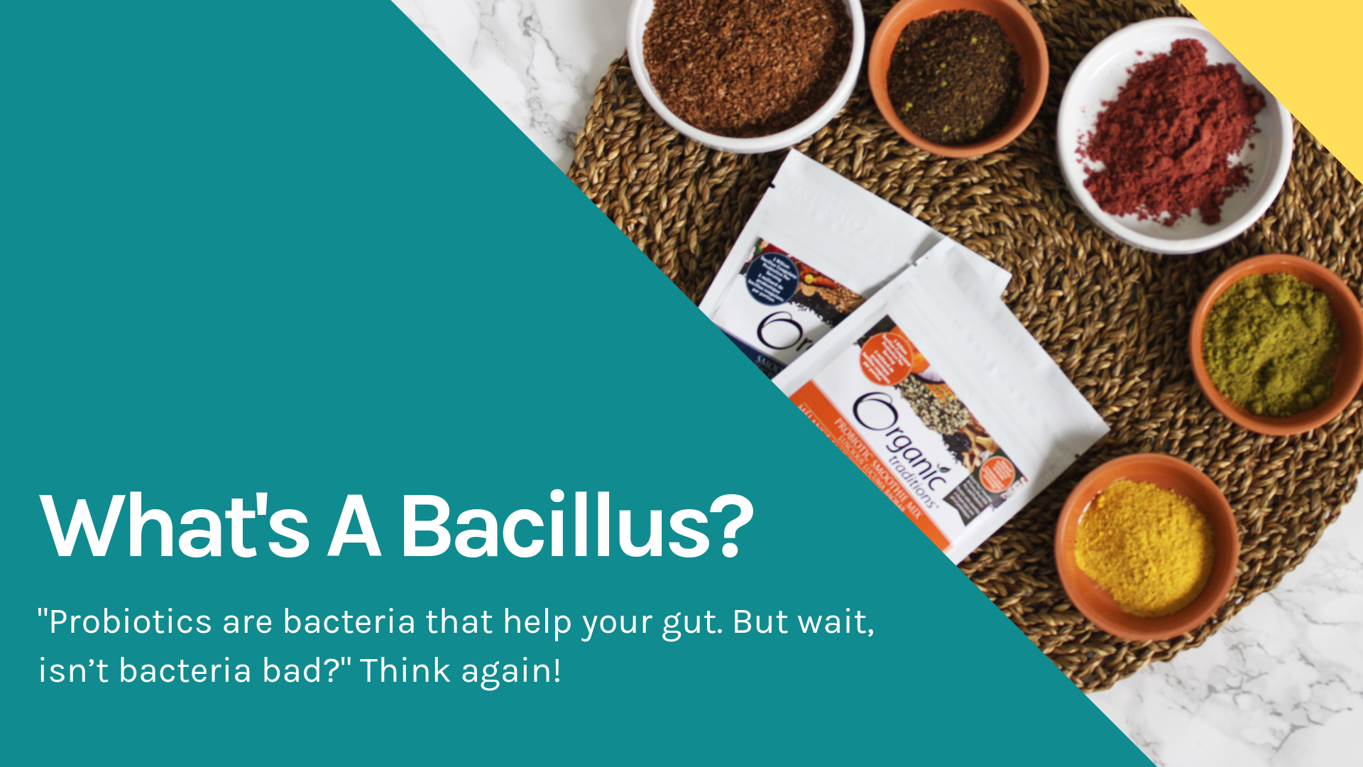 What's a Bacillus?