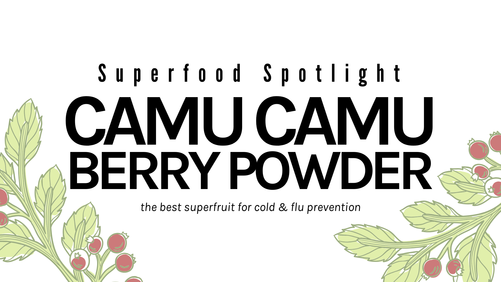Superfood Spotlight: Camu Camu Berry Powder
