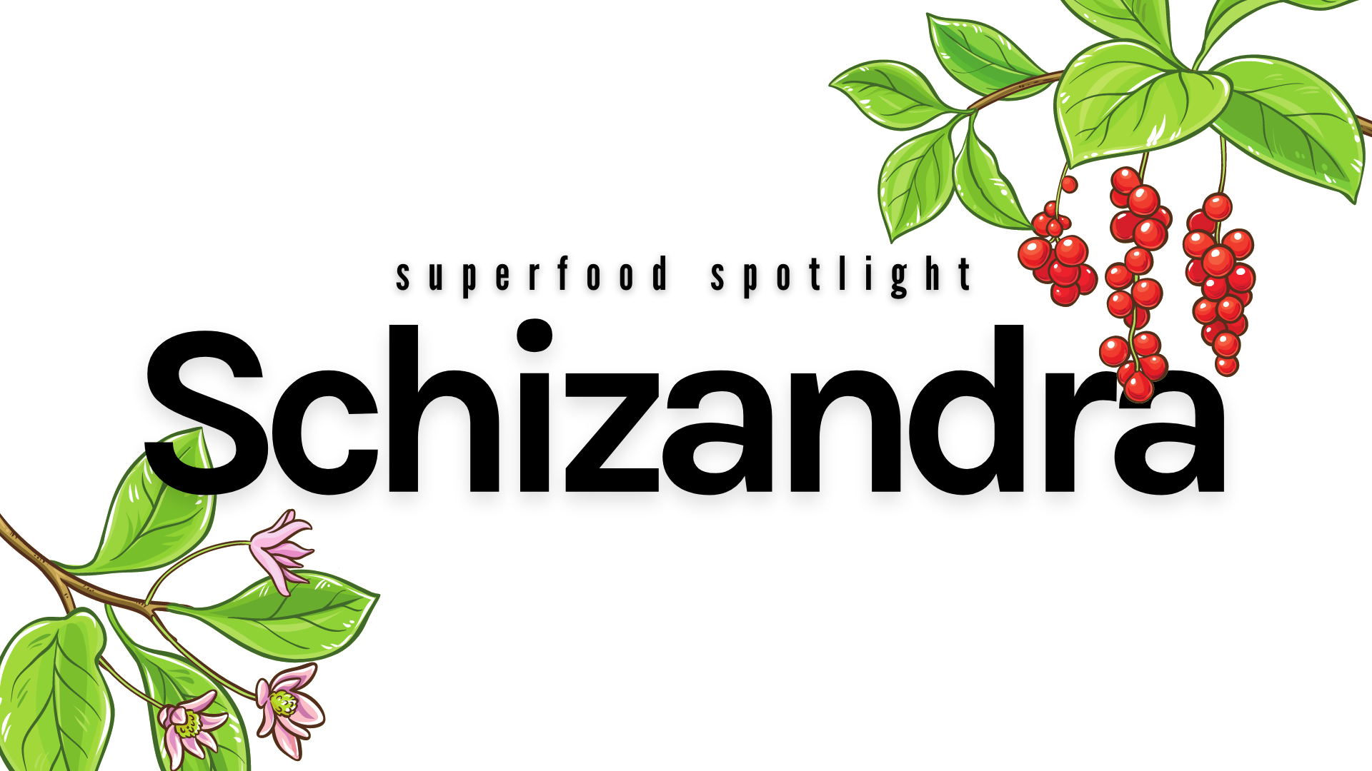 Superfood Spotlight: Schizandra