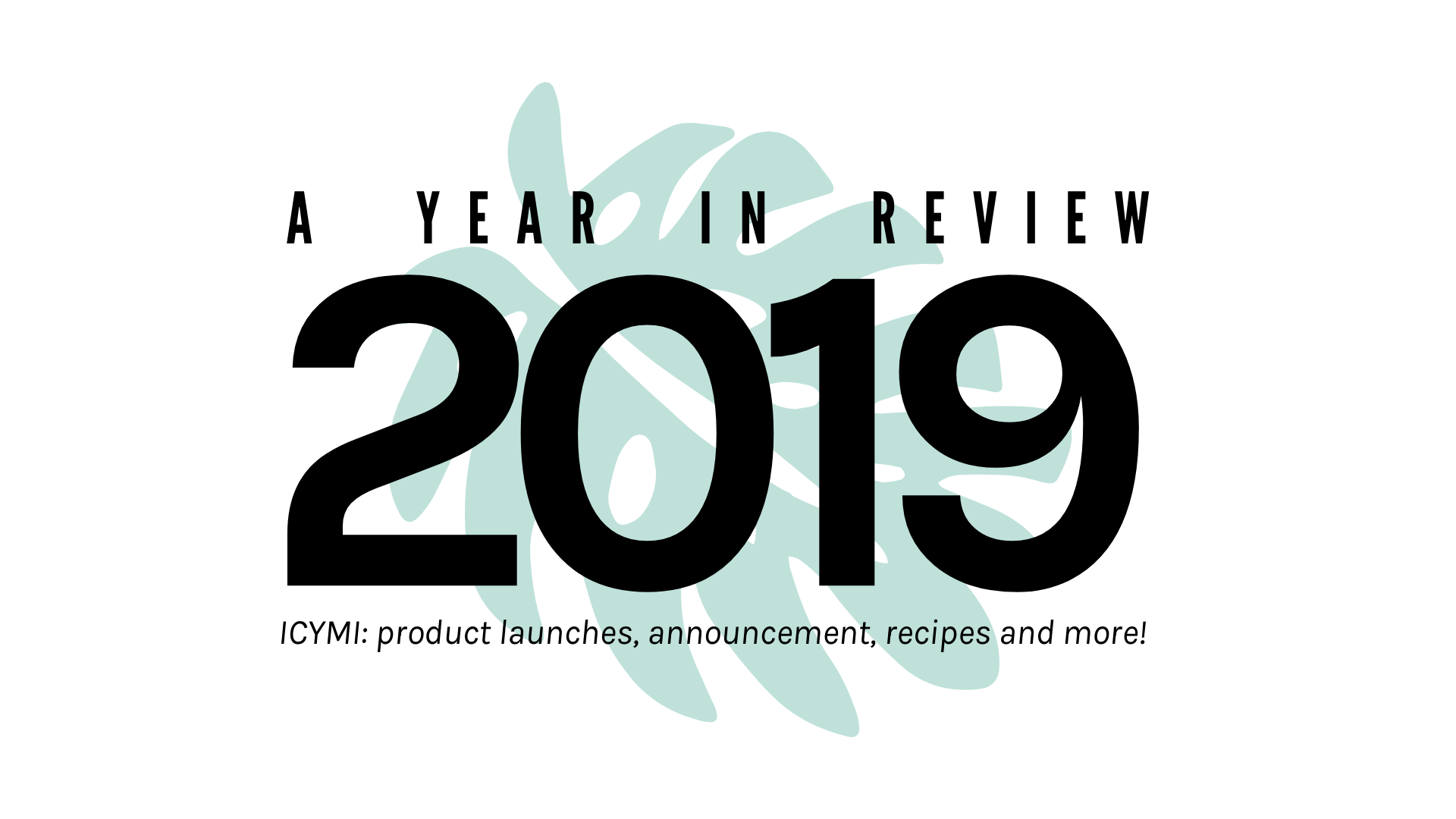 2019, A Year In Review