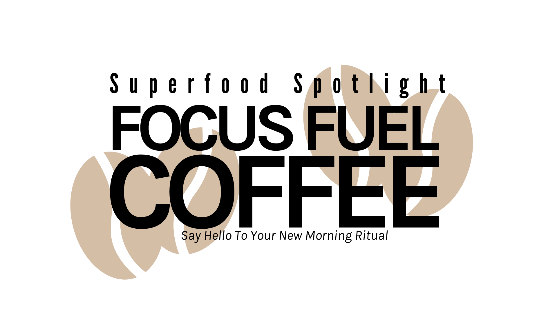 Superfood Spotlight: FOCUS FUEL COFFEE