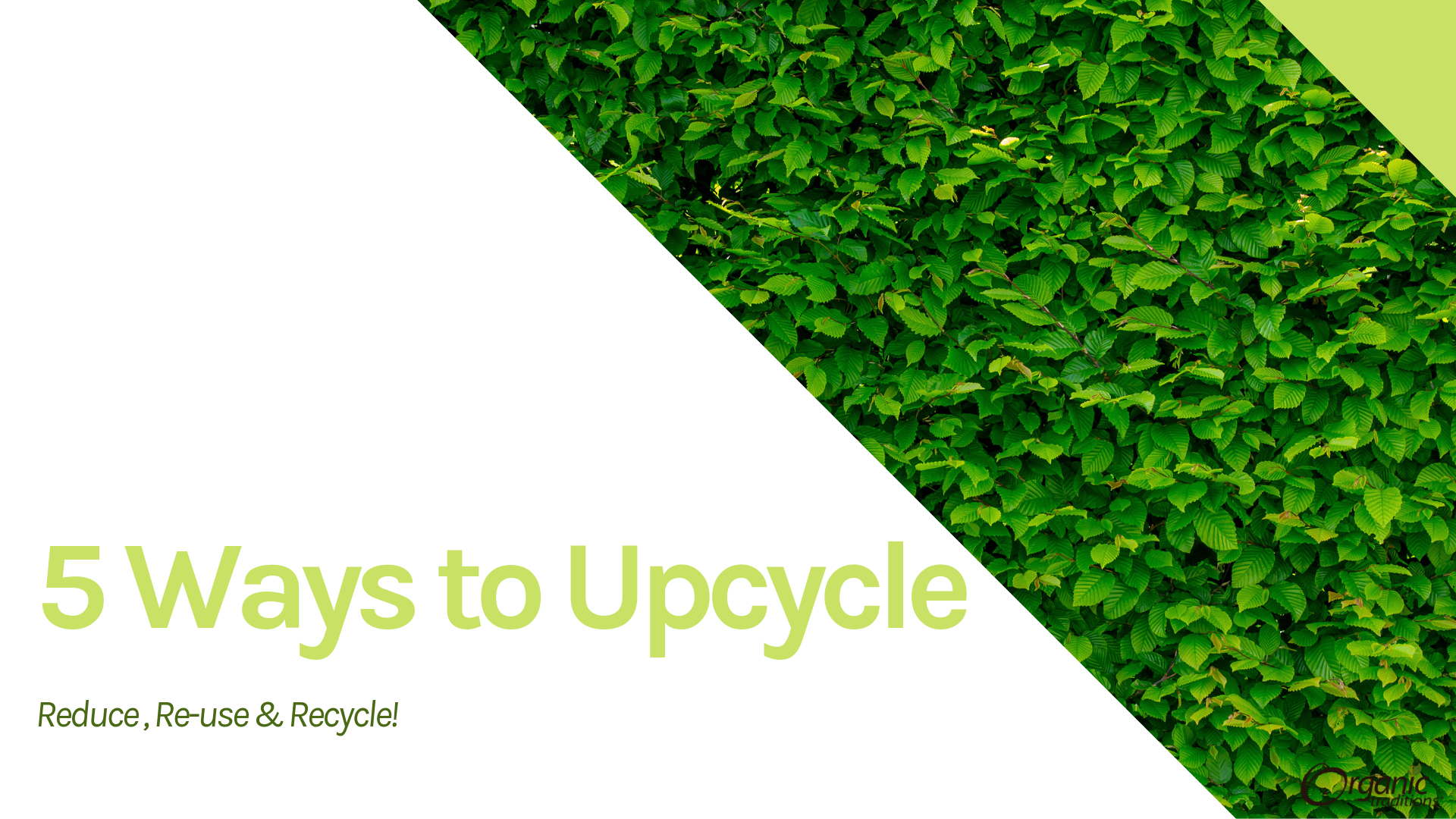 5 Ways to Upcycle