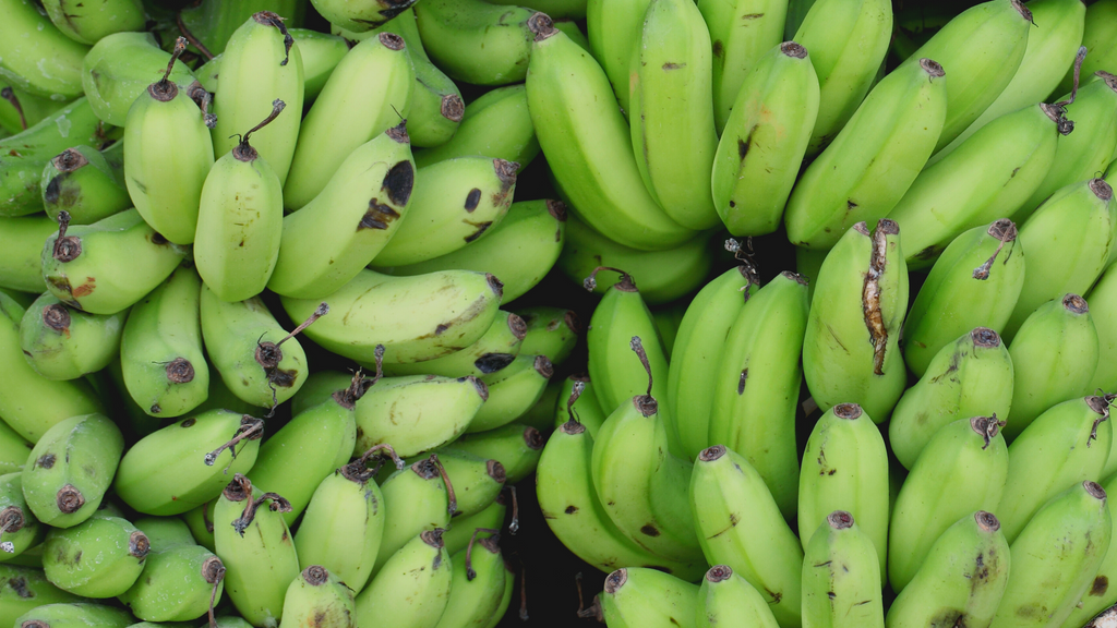 Discover the Benefits of Organic Green Banana Powder (Unripe) – Z Natural  Foods
