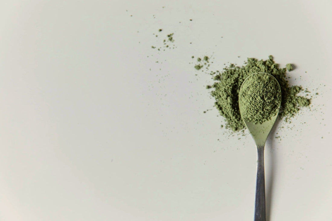 Spoon of organic moringa powder on light surface with soft natural lighting