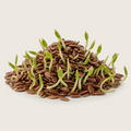 Organic Sprouted Flax Seeds