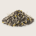 Organic Sprouted Chia Seeds