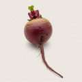 Organic Beet Root