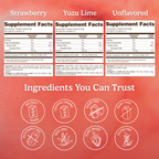 Fiber Flow Variety Pack (12 Sticks)