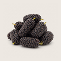 Organic Black Mullberries