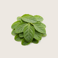 Organic Brahmi