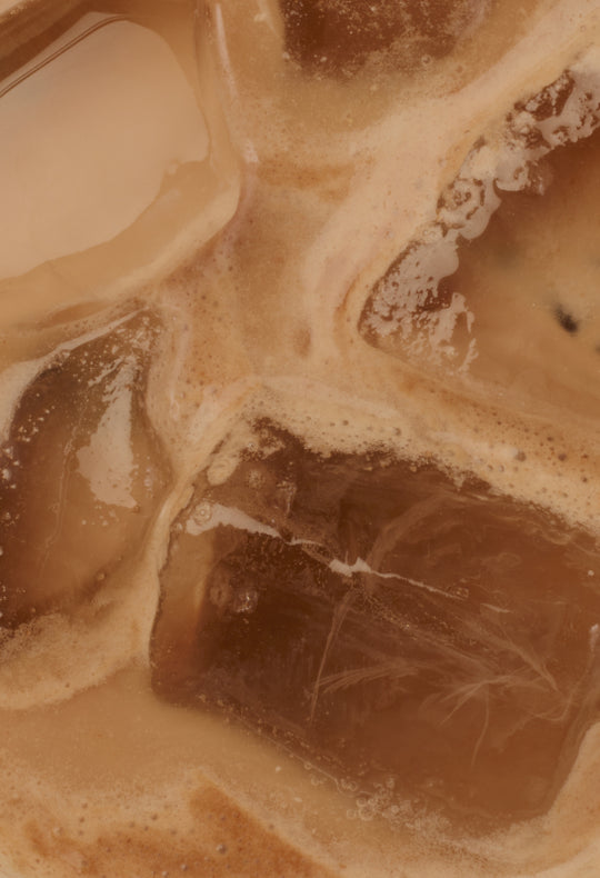 Chocolate Latte with Probiotics