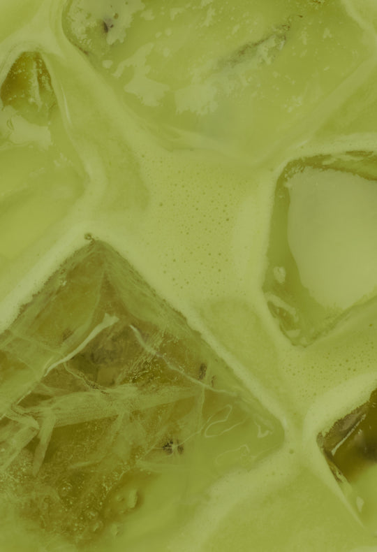 Matcha Latte with Probiotics