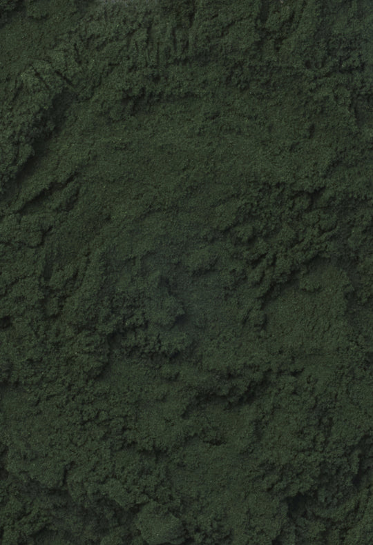 Spirulina Powder
