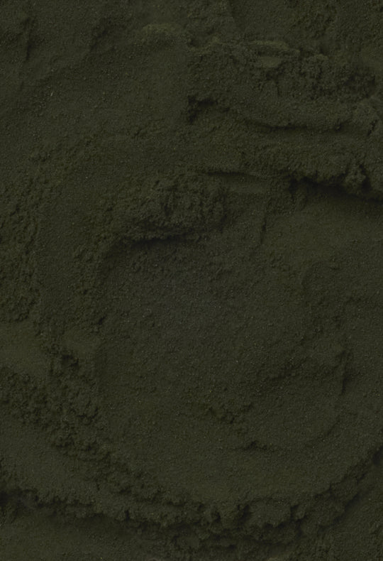 Chlorella Powder