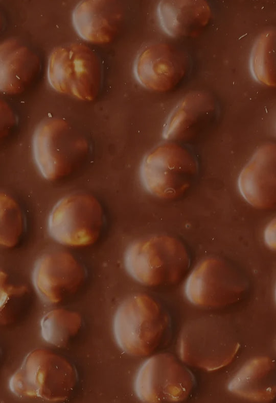Dark Chocolate Covered Hazelnuts