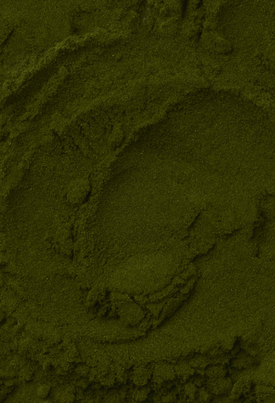 Wheat Grass Juice Powder