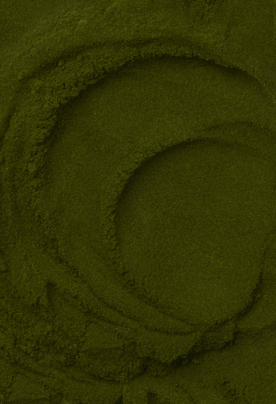 Barley Grass Juice Powder