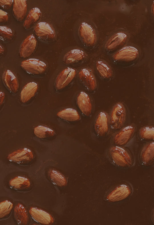 Dark Chocolate Covered Almonds