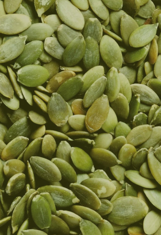 Pumpkin Seeds