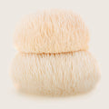 Organic Lion’s Mane