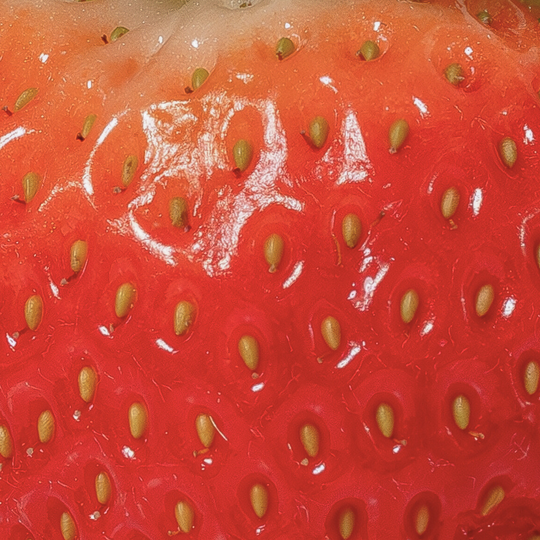 Fibre Flow Strawberry (12 Sticks)