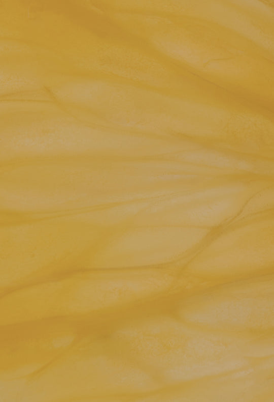 Fibre Flow Yuzu Lime (12 Sticks)
